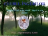 7 ingeri