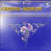 ATINGEREA INGERILOR