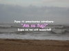 Ai sa fugi