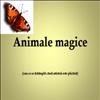 Animale magice