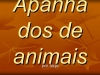 ApanhadosDeAnimais mi