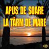 Apus De Soare La Tarm De Mare. 02