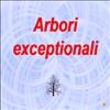 Arbori exceptionali