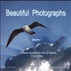 Beautiful world