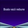 Boala vacii nebune