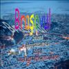 Brasovul-Zona turistica
