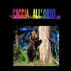 Caccia all orso