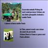 Calatorie in lumea ursilor Panda
