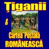 Carti Postale Romanesti. Tiganii.