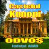 Castelul Konopi-Odvos, Jud. Arad.