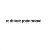Ce poate creierul