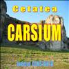 Cetatea Carsium (Harsova). Judetul Constanta.