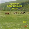 Cheile Rasnoavei