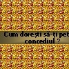 Concediu