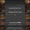 Concert de Anul Nou