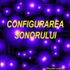 Configurare sonor