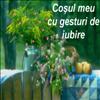 Cosuletul cu gesturi de iubire