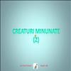 Creaturi minunate