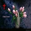 Crucea mea