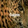 Cuvinte