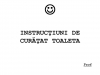 De curatat toaleta 1  2