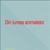 Din lumea animalelor