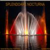 FRUMUSETEA NOCTURNA