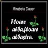Floare Alba Floare Albastra