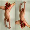 Flori de 8 Martie