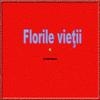 Florile vietii