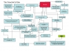 Flowchart