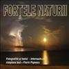 Fortele naturii