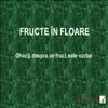 Fructe in floare