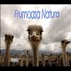 Frumoasa natura