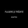 Fulgere si traznete