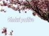 Ganduri pozitive 2