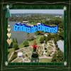 Gradina de chiparosi