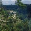 Hotel In Jungle