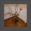 IKEBANA