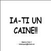 Ia-ti un caine