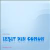 Ieşit din comun