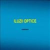 Iluzii optice