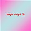 Imagini ecograf