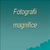 Imagini superbe