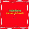 Instantanee