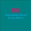 Irisi
