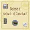 Iseltwald si Giessbach