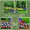 JARDINES Y PARQUES DEL MUNDO