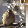 Lectie de perseverenta