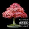 Lectie de viata